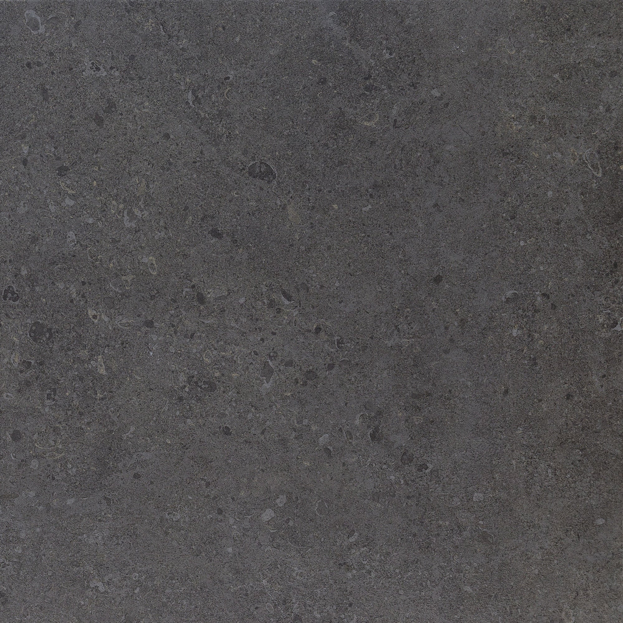 Daltile - Dignitary 24 in. x 24 in. Matte Porcelain Tile - Governor Black