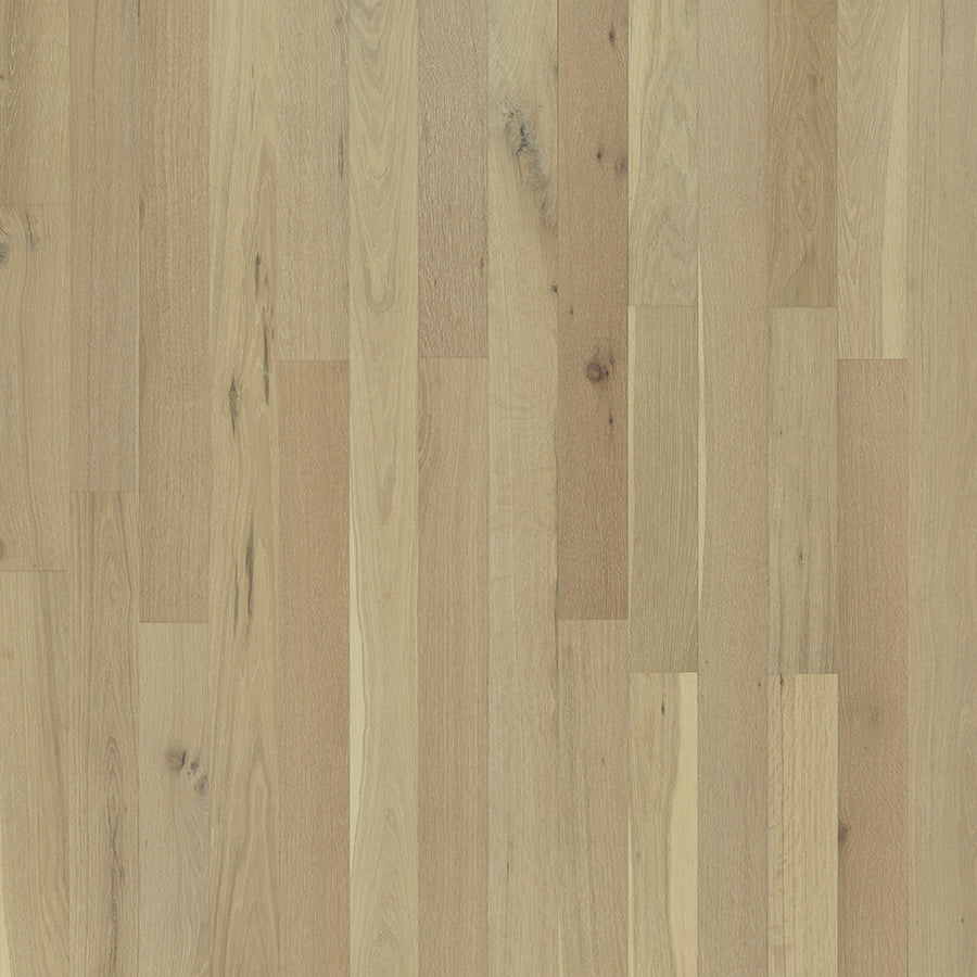 Compass Flooring - Dockside Hardwood - 5 in. Engineered Hardwood - Jessup Oak