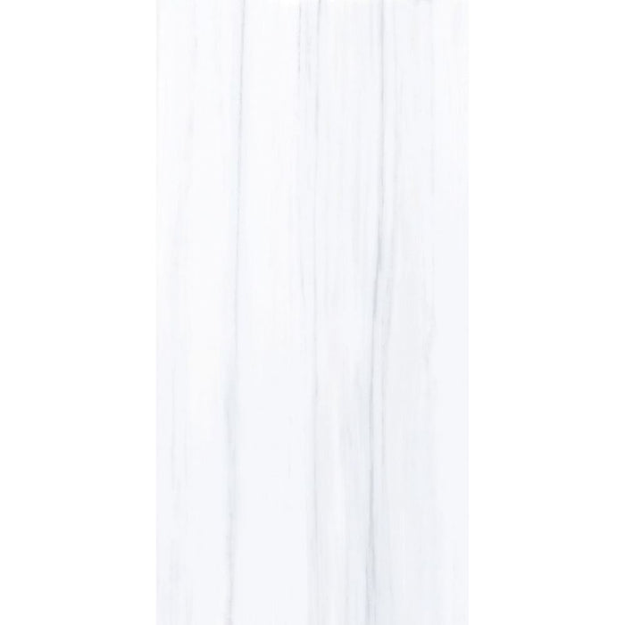 Elysium - Dolomite Supreme - 24 in. x 48 in. Matte Rectified Porcelain Tile - AN Dolomite