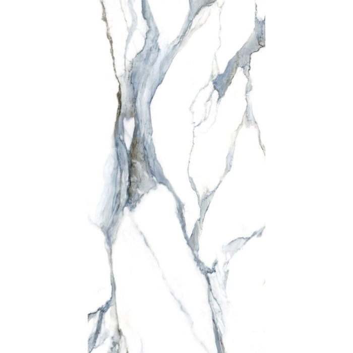 Elysium - Calacatta Fantasy 24 in. x 48 in. Porcelain Tile - Acqua