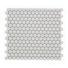 See Elysium - Penny Round 11.5 in. x 12.25 in. Porcelain Mosaic - Natural Grey Matte