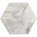Daltile - Divinium 8 in. x 9 in. Porcelain Hexagon Tile - Zion