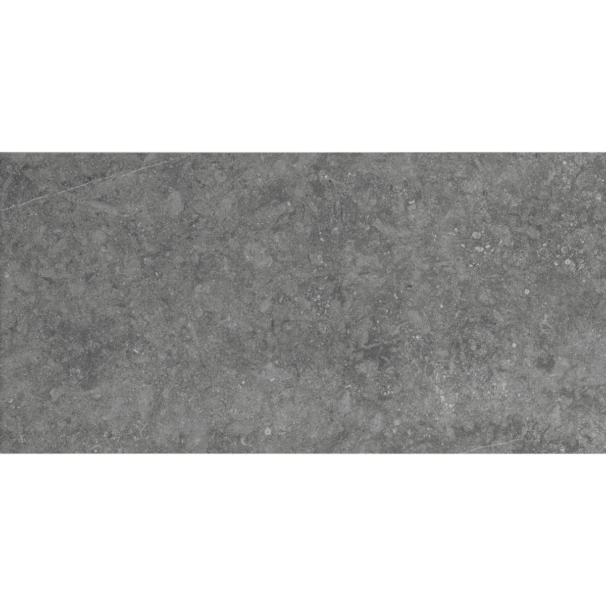 Daltile - Diplomacy 12 in. x 24 in. Porcelain Floor Tile - Light Grey