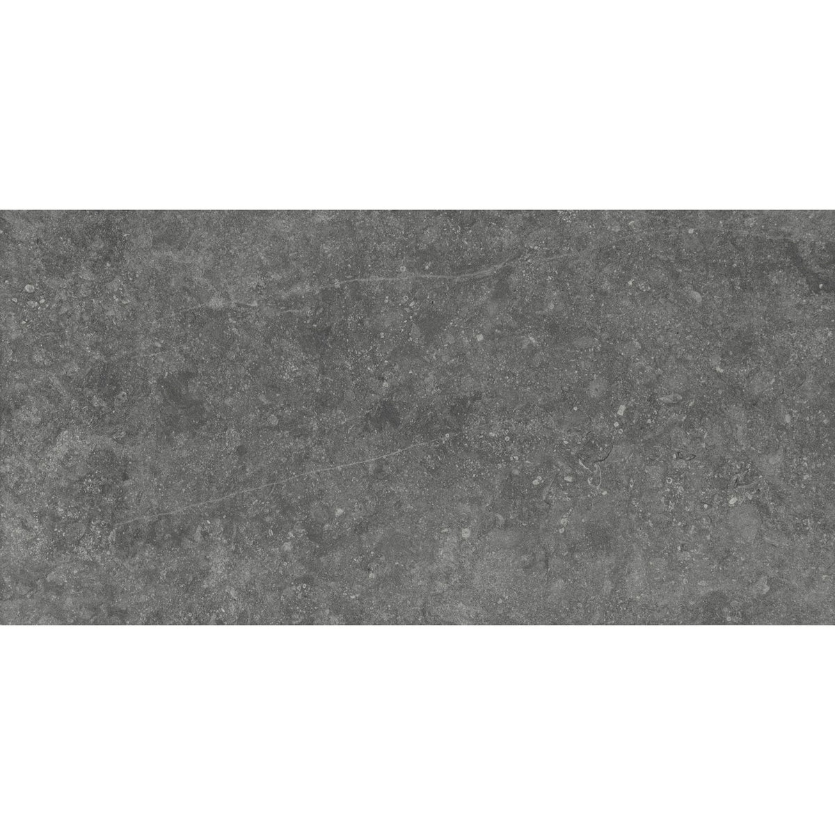 Daltile - Diplomacy 12 in. x 24 in. Porcelain Floor Tile - Medium Grey