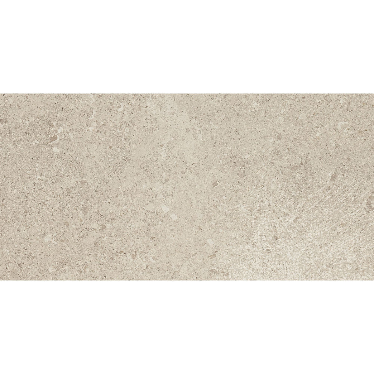 Daltile - Dignitary 24 in. x 48 in. Matte Porcelain Tile - Notable Beige