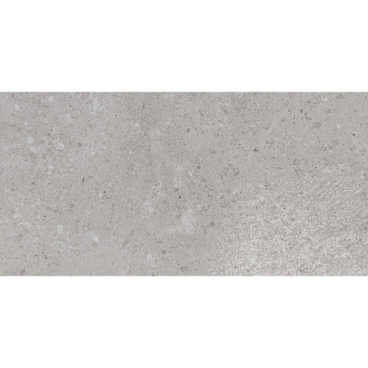 Daltile - Dignitary 24 in. x 48 in. Matte Porcelain Tile - Eminence Gray